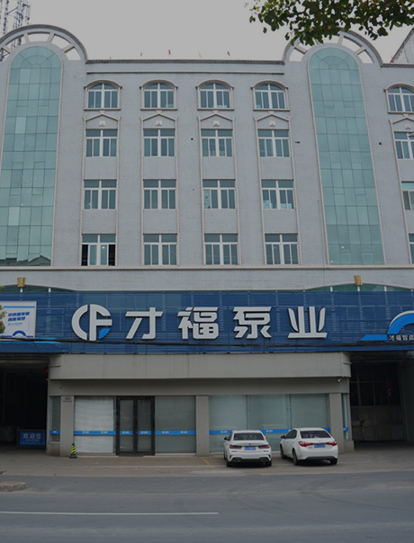 Caifu Pump Industry Co., Ltd.
