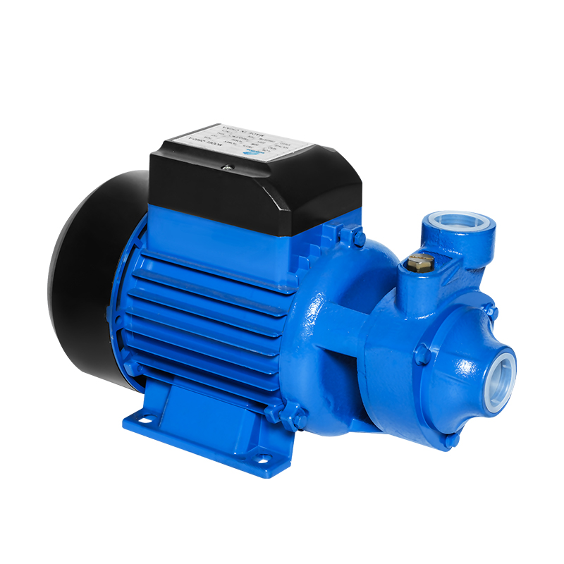 The Synergy and Competition Between Electric and Solar Water Pumps in Manufacturing