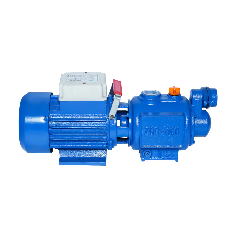 Caifu Pump Industry Co., Ltd.